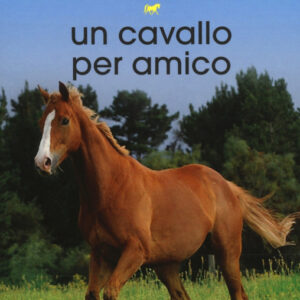 Un cavallo per amico