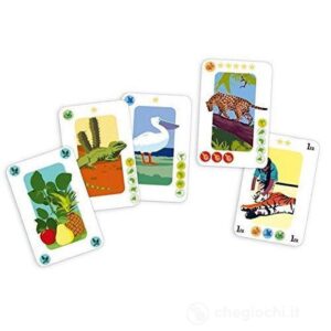 Animazoo - immagine 2
