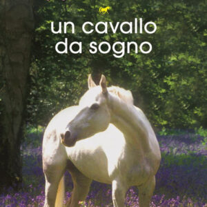 Un cavallo da sogno