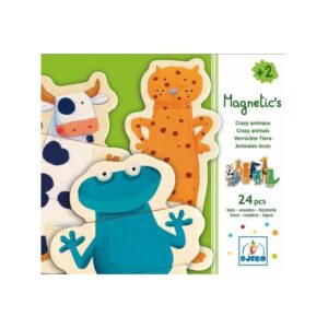 Wooden magnetics Crazy