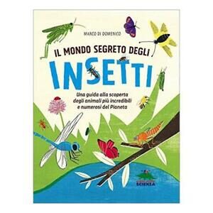 Il mondo degli insetti